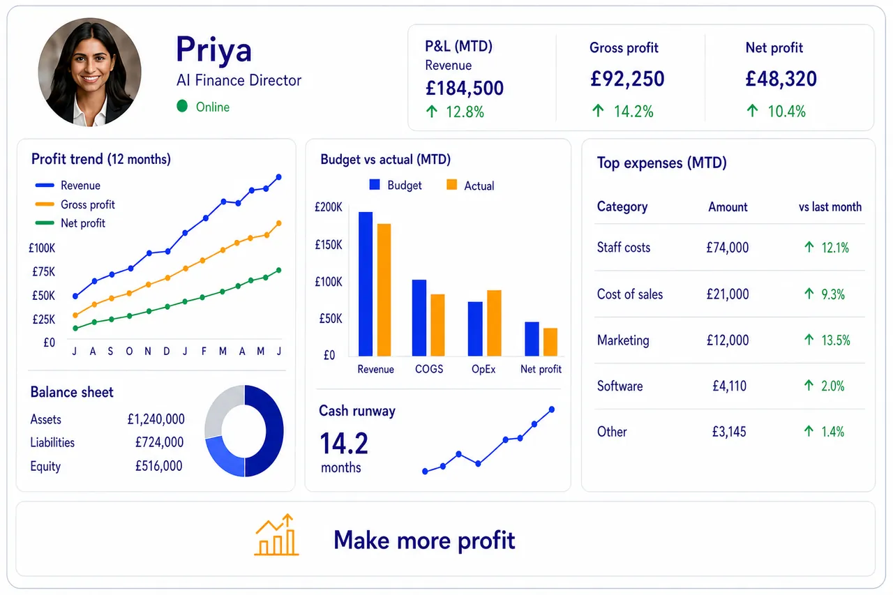 Priya, AI Finance Director